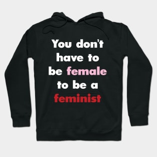 You Don't Have to be Female to be a Feminist Hoodie